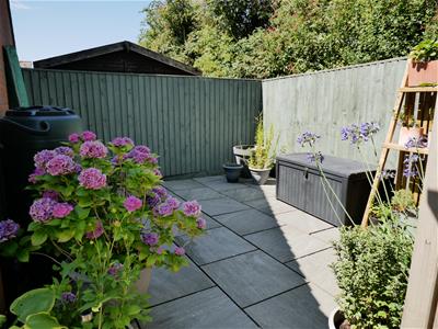 Picture 21